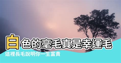 膝蓋長毛|【膝蓋有毛】膝邊長毛，財富滿盈！富貴命徵兆，不容錯過！ – 葛。